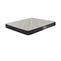 COLHÃO QUEEN D45 SLEEP MAX -CASTOR thumb 1